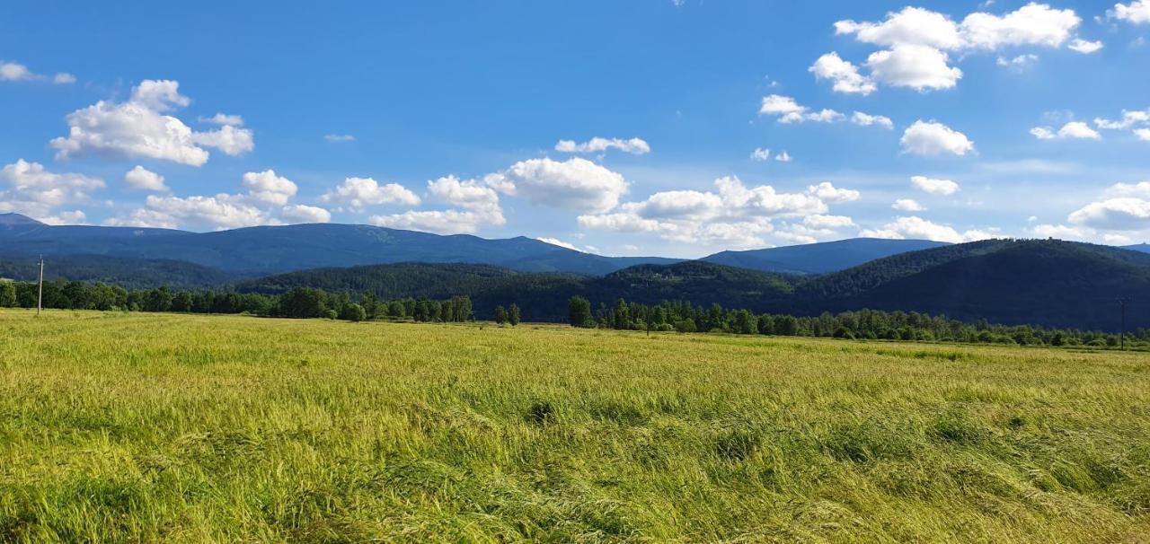 Apartament Wita Stwosza Jelenia Góra Kültér fotó
