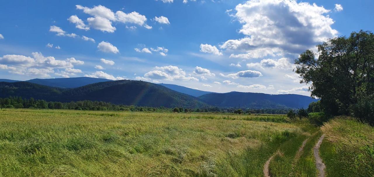 Apartament Wita Stwosza Jelenia Góra Kültér fotó